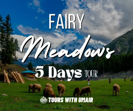 Fairy Meadows 5 Days Tour Tours with Umair