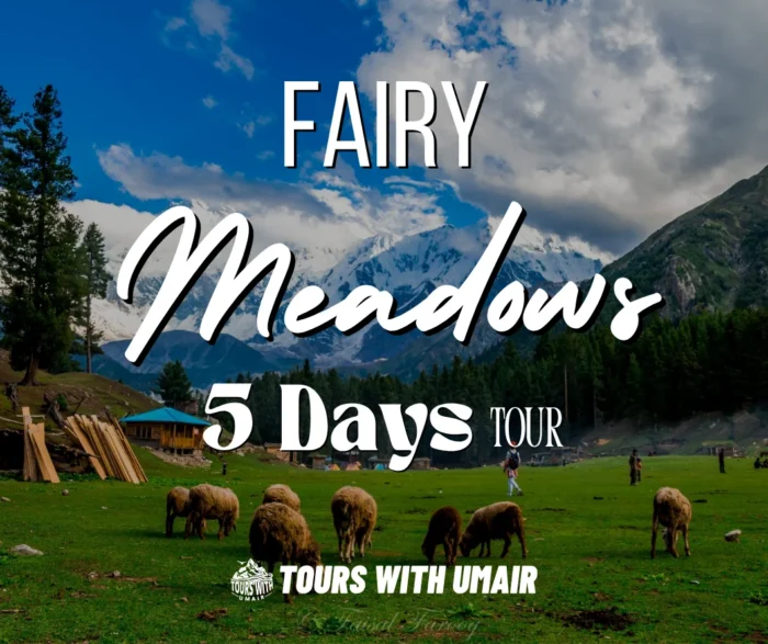 Fairy Meadows 5 Days Tour Tours with Umair
