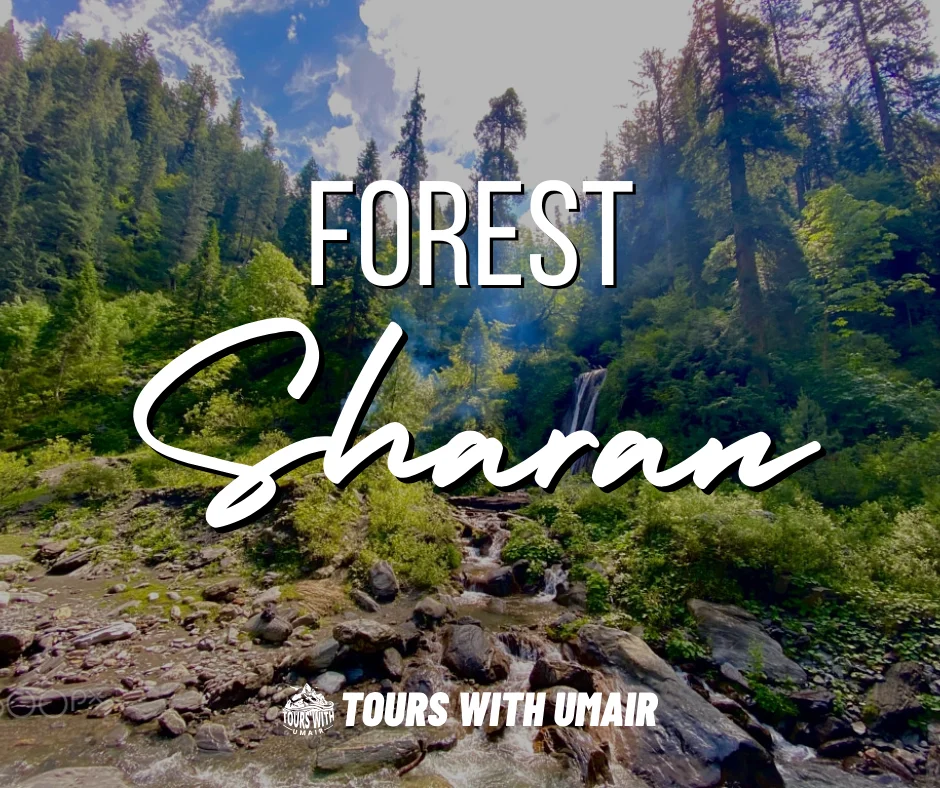 Tours with Umair Sharan Forest